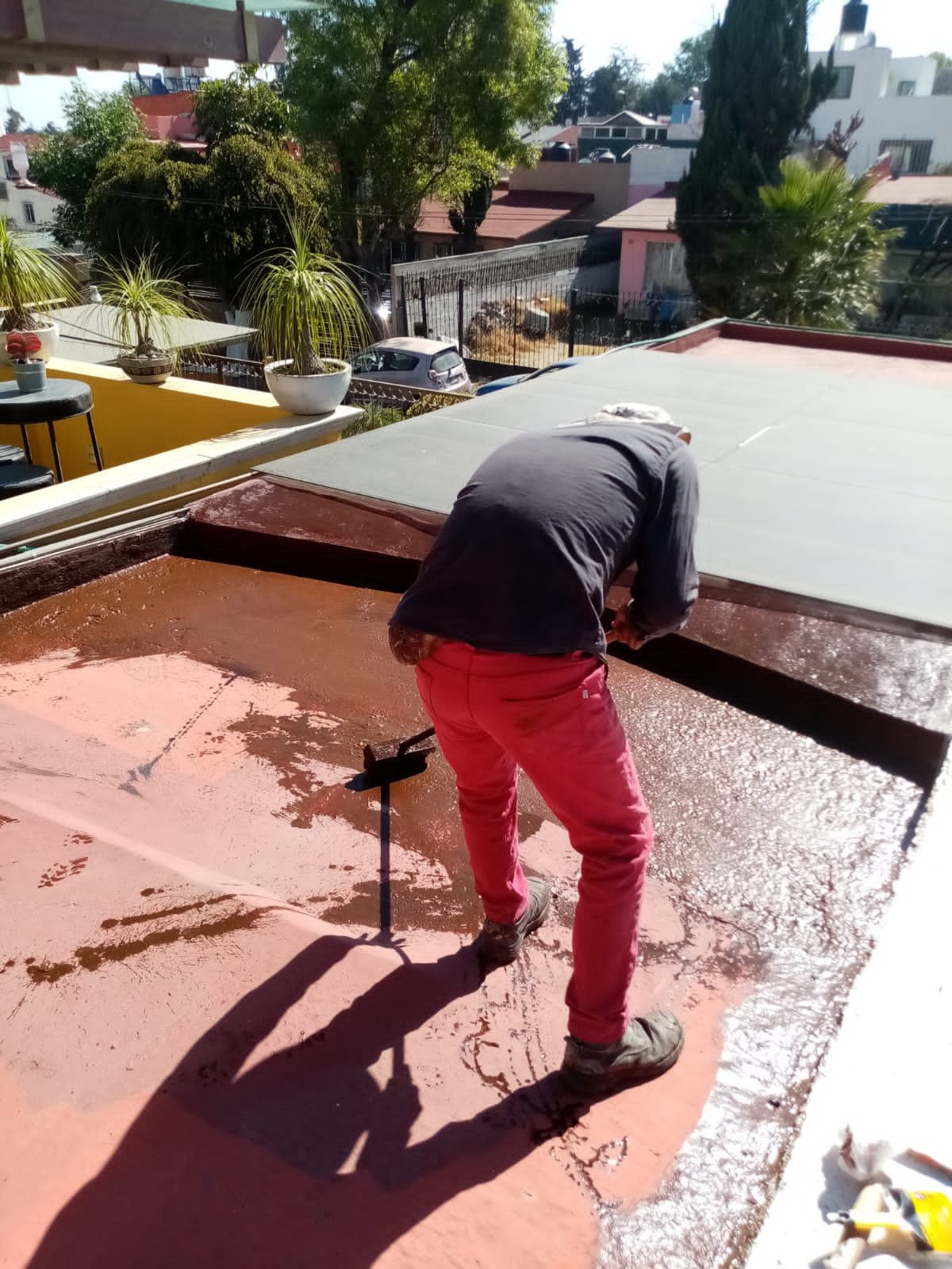 Aplicación De Primario